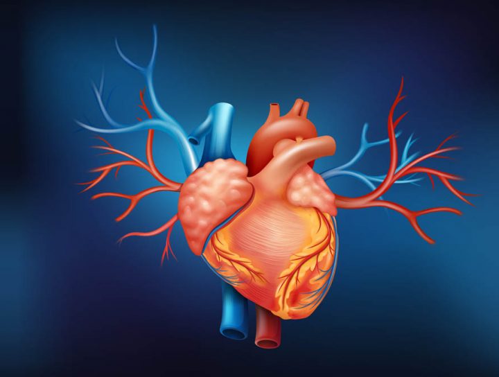 Surgical Treatment Of Mitral Valve Disease - Medicus